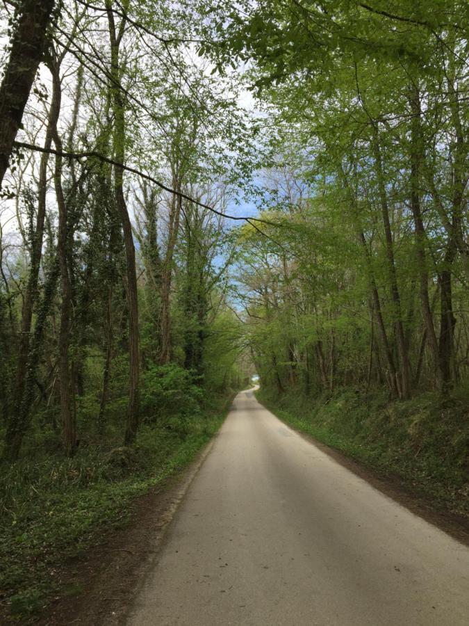 مبيت وإفطار Belvès-de-Castillon Chez Henri المظهر الخارجي الصورة